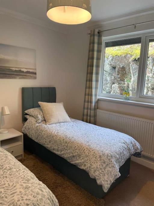 Riverside Retreat Llandysul Dış mekan fotoğraf