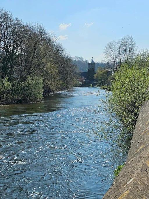 Riverside Retreat Llandysul Dış mekan fotoğraf