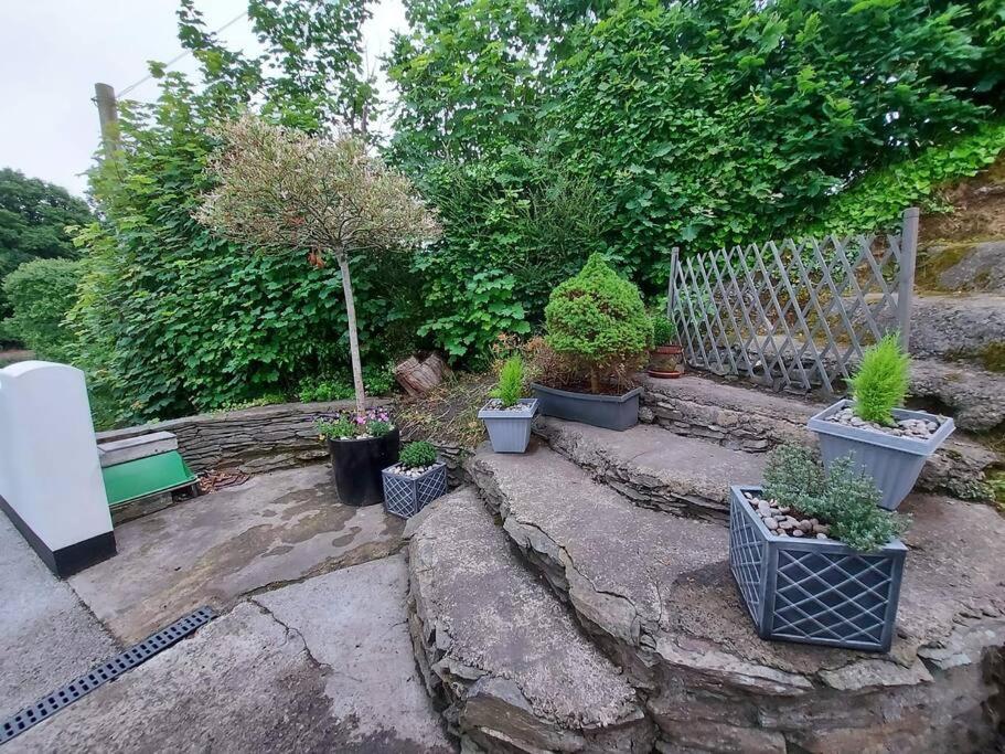 Riverside Retreat Llandysul Dış mekan fotoğraf