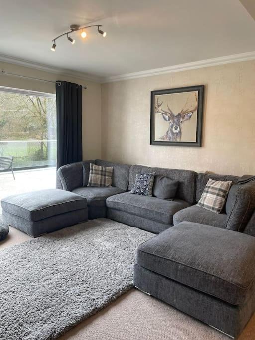 Riverside Retreat Llandysul Dış mekan fotoğraf